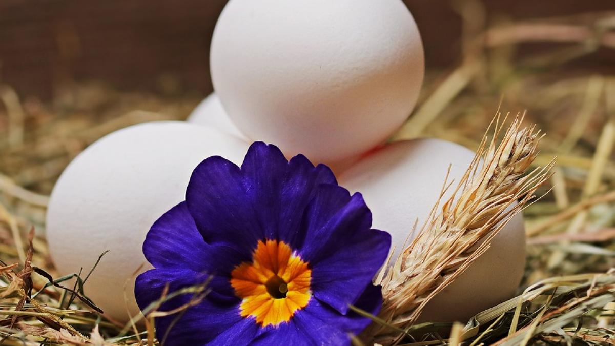 traditii si obiceiuri in saptamana alba ce nu este bine sa faci