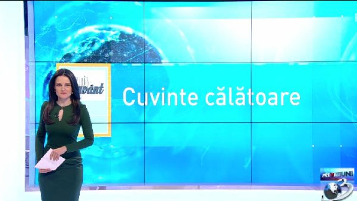 pe cuvant cu ana iorga ce legatura exista intre buletin si bolero