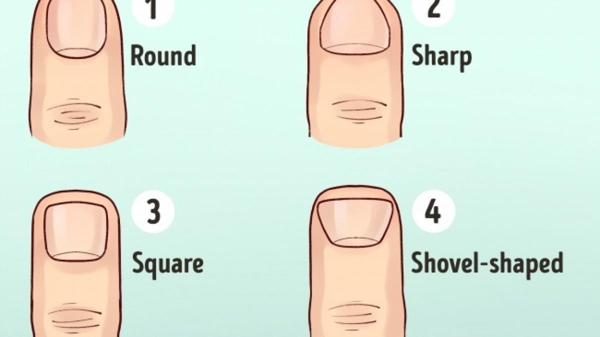 ce spune forma degetelor tale despre personalitatea ta sigur nu stiai asta