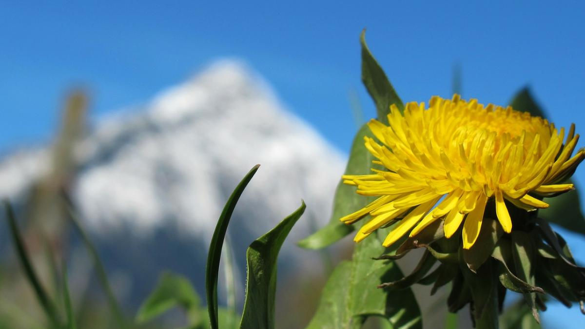 vesti grozave de la meteorologi urmeaza o saptamana de primavara