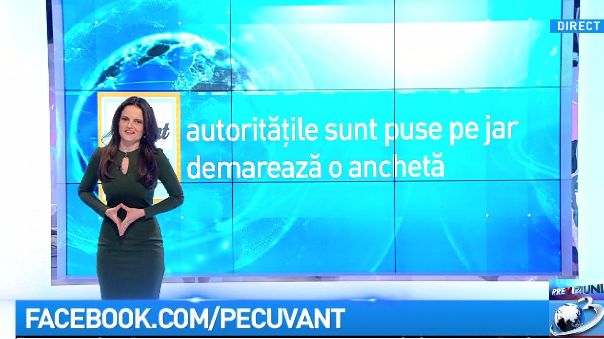 pe cuvant cu ana iorga