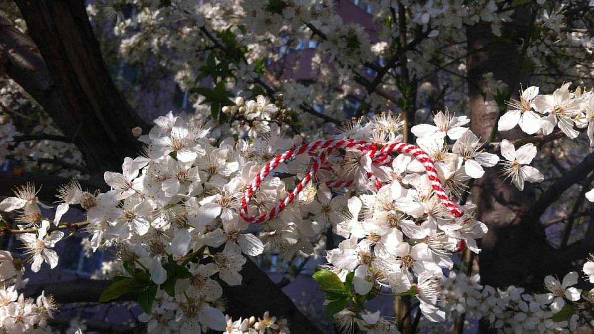 martisor ce martisor sa cumperi in functie de zodie