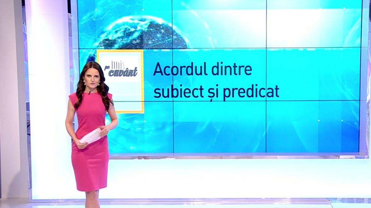 pe cuvant cu ana iorga acordul dintre subiect si predicat majoritatea a votat vs majoritatea au