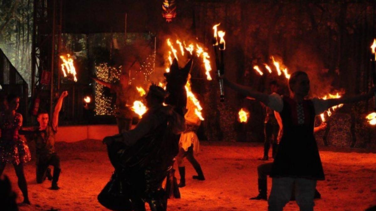 ce se intampla cu animalele de la circ dupa ce primaria le a interzis in spectacole