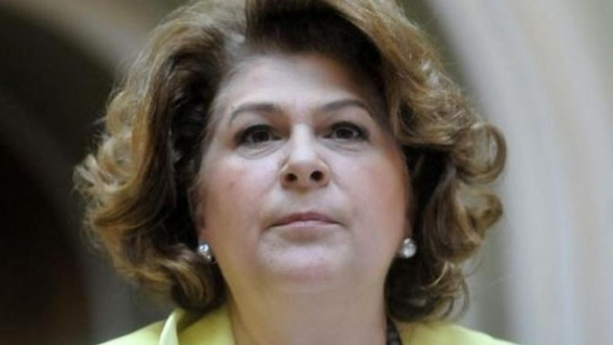 rovana plumb declaratie acida privind politica de investitii a ue