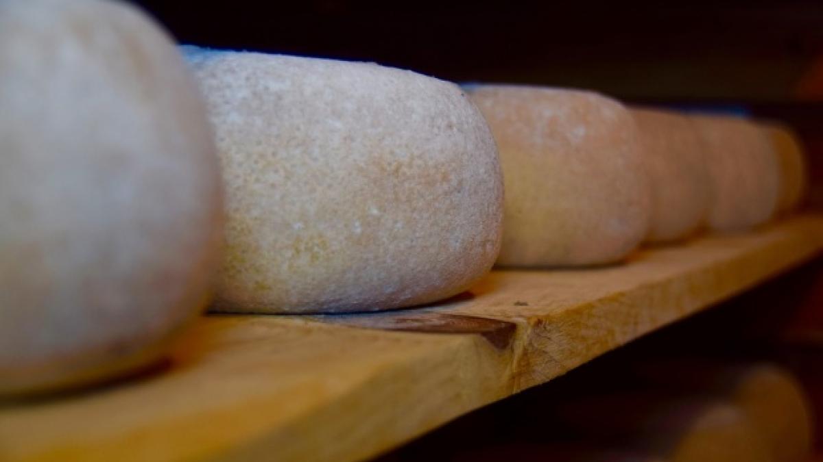 mancam branza fara lapte dar cu uleiuri vegetale cum recunoastem produsul