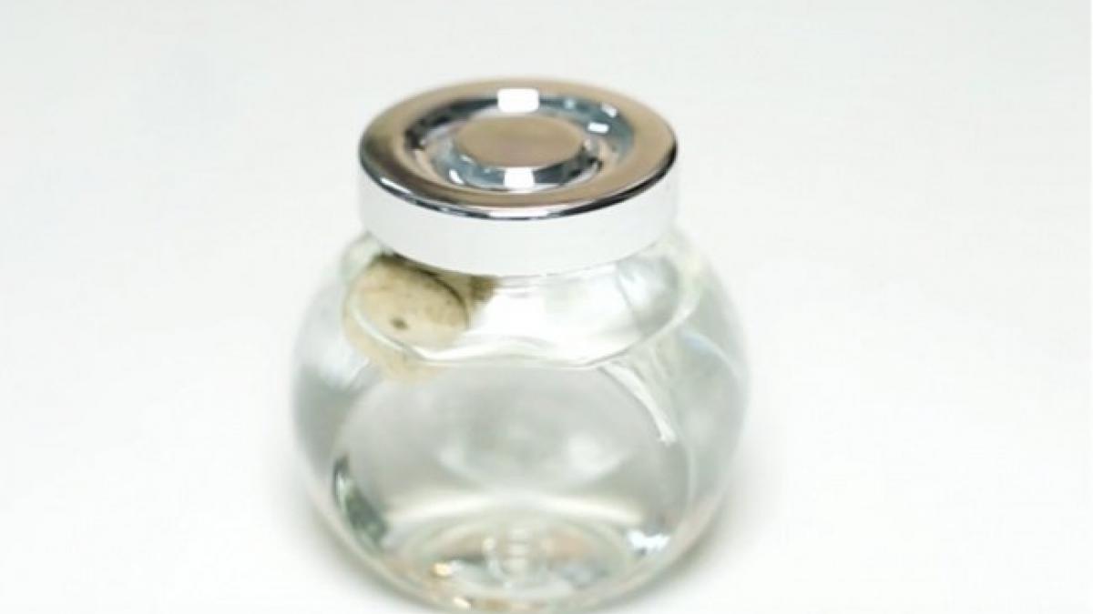 a lasat la inmuiat peste noapte un dop de pluta in spirt ce a observat dimineata