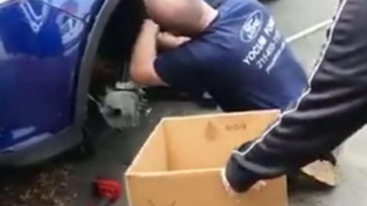 s a dus la service si l a rugat pe mecanic sa verifice masina se aude ceva foarte ciudat la roata