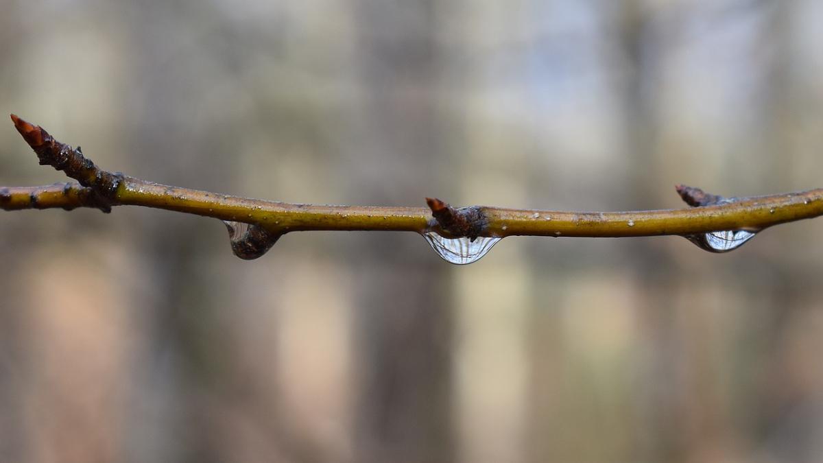 se schimba vremea vezi anuntul meteorologilor