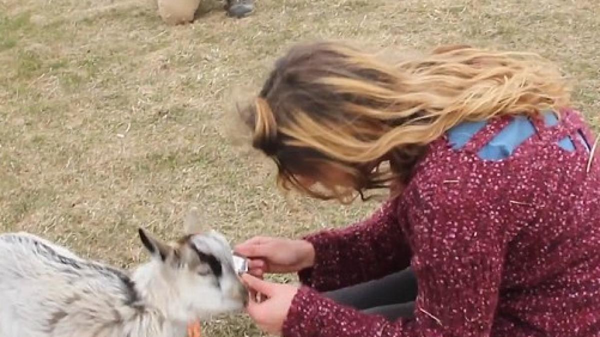 parea o plimbare linisita pe munte cand totul a luat o turnura neasteptata a izbucnit imediat in