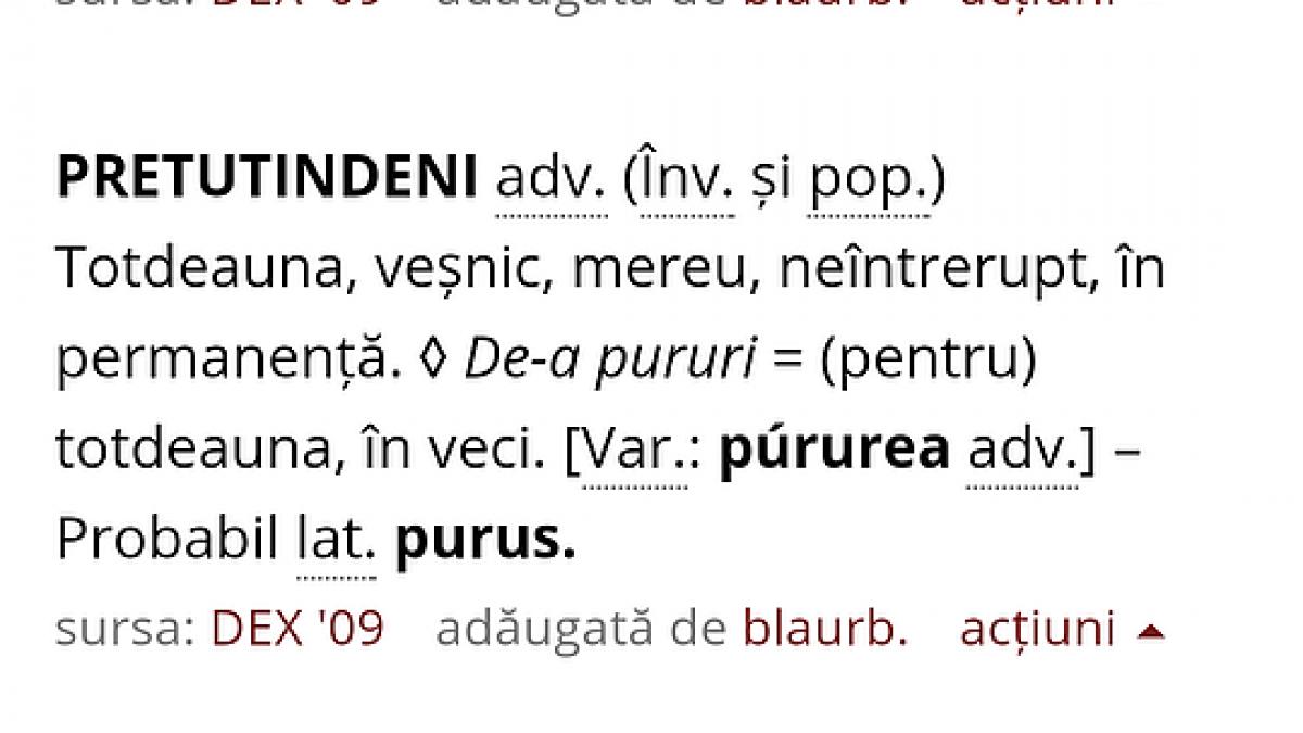 cele mai cautate cuvinte la simularile de luni cum a taxat dexonline tentativa de a copia