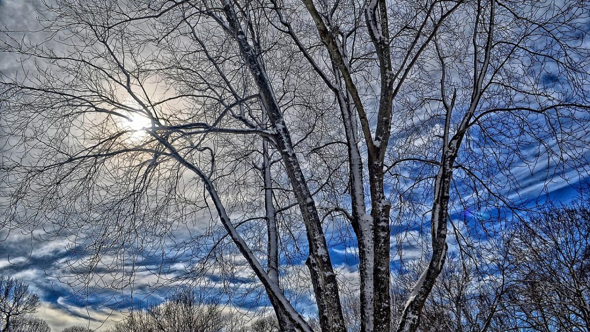 alerta meteo de vant puternic si ninsori pana vineri dupa amiaza