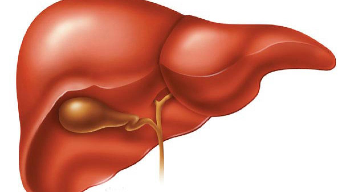 ciroza hepatica boala care a rapus o pe ileana ciuculete este una inselatoare ce trebuie sa faci ca