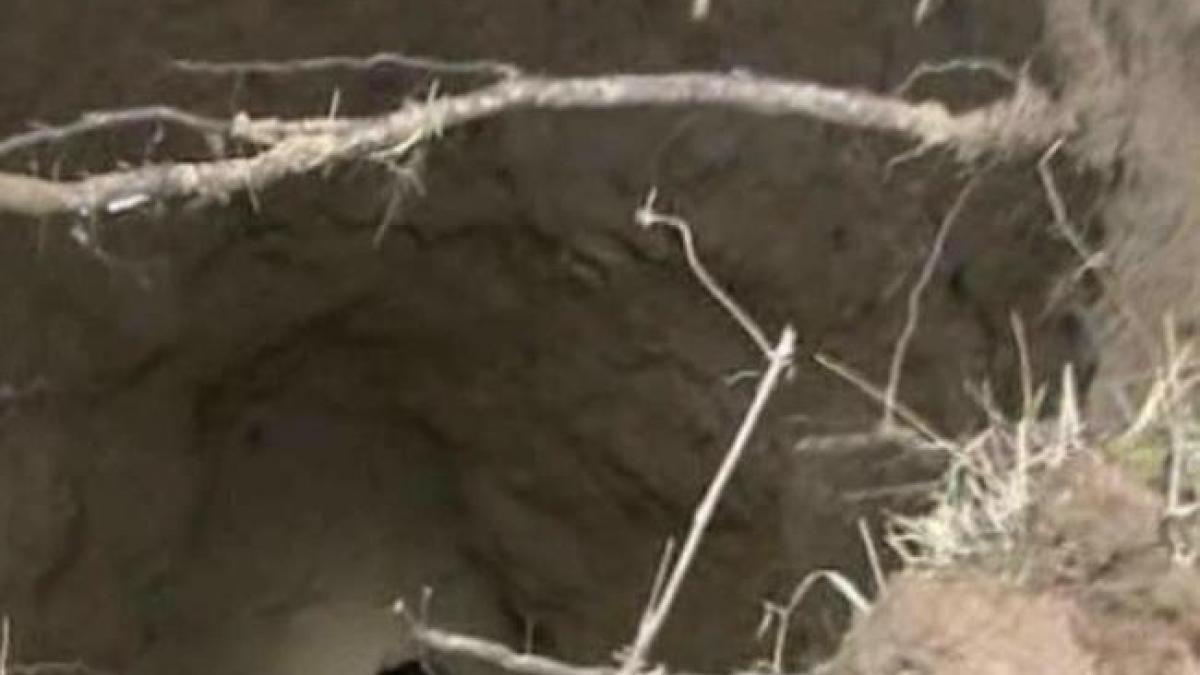 descoperire socanta intr o vie din vrancea o groapa a aparut din senin si nimeni nu stie unde se