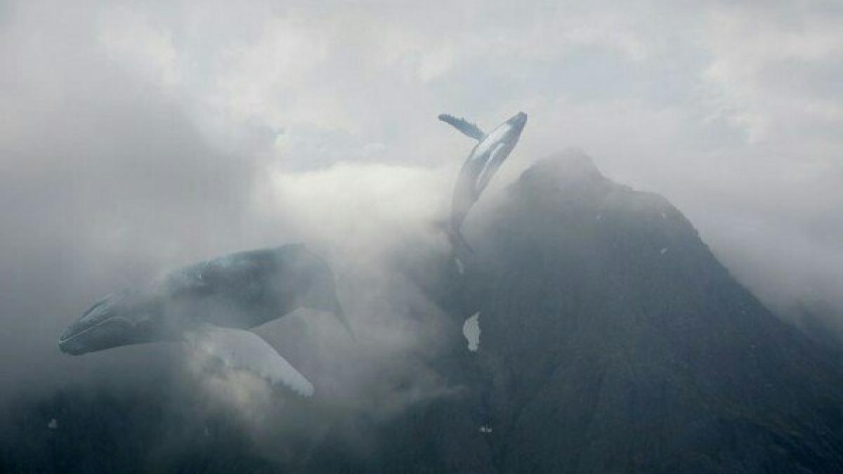incident grav la o scoala generala din iasi cinci copii sufocati dupa ce au jucat balena albastra