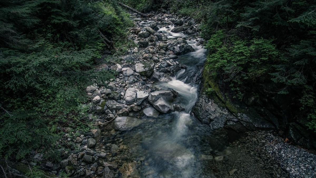se plimba cu parintii intr un parc tematic cand a vazut ceva intr un parau nu se astepta la ce avea