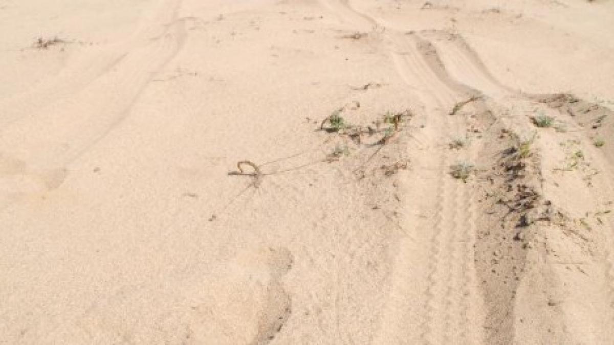 singurul desert din romania se afla la 200 de km de bucuresti