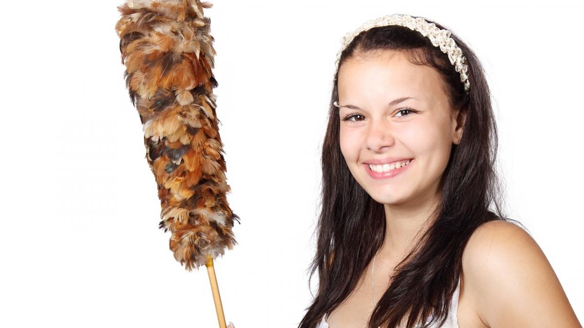 adevarul despre curatenie cat de des trebuie sa cureti de fapt toaleta covoarele si lustrele