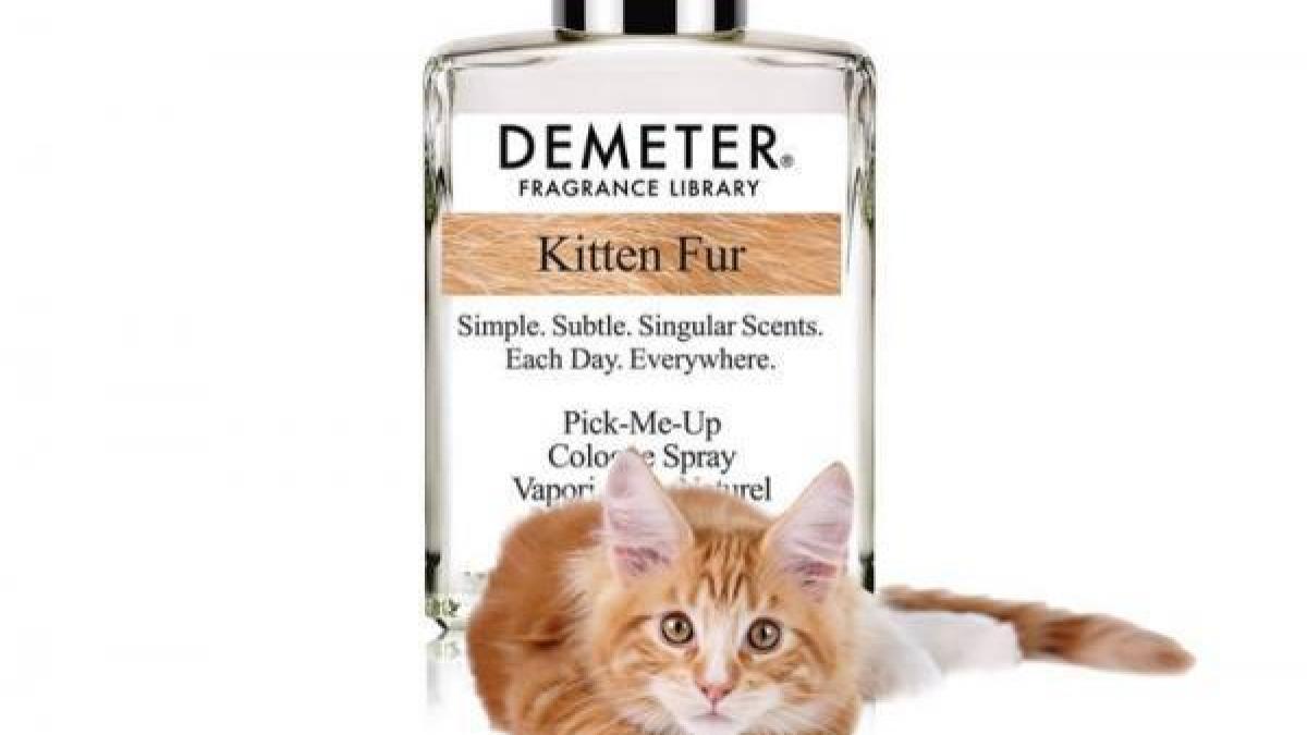 iti plac pisicile atunci trebuie sa ai acest parfum