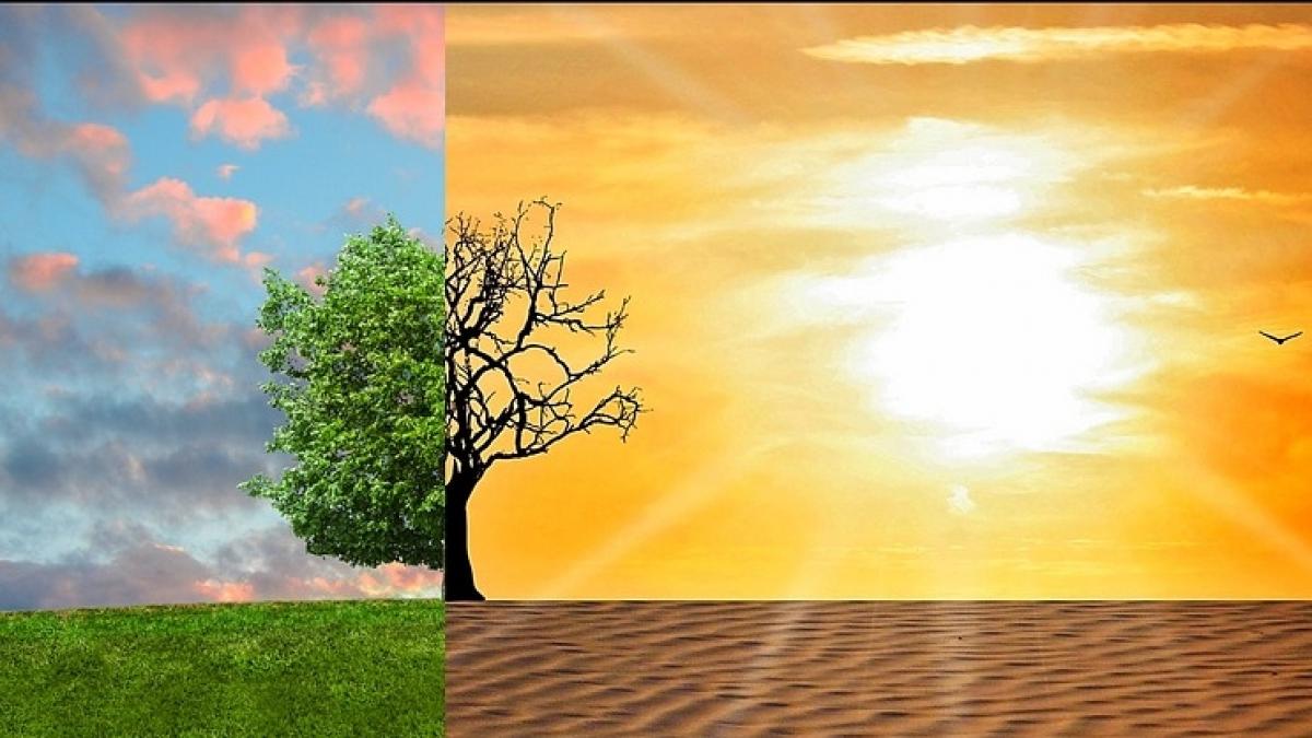 anul recordurilor 2016 a batut toate recordurile de temperatura nivelului marii si incalzirii