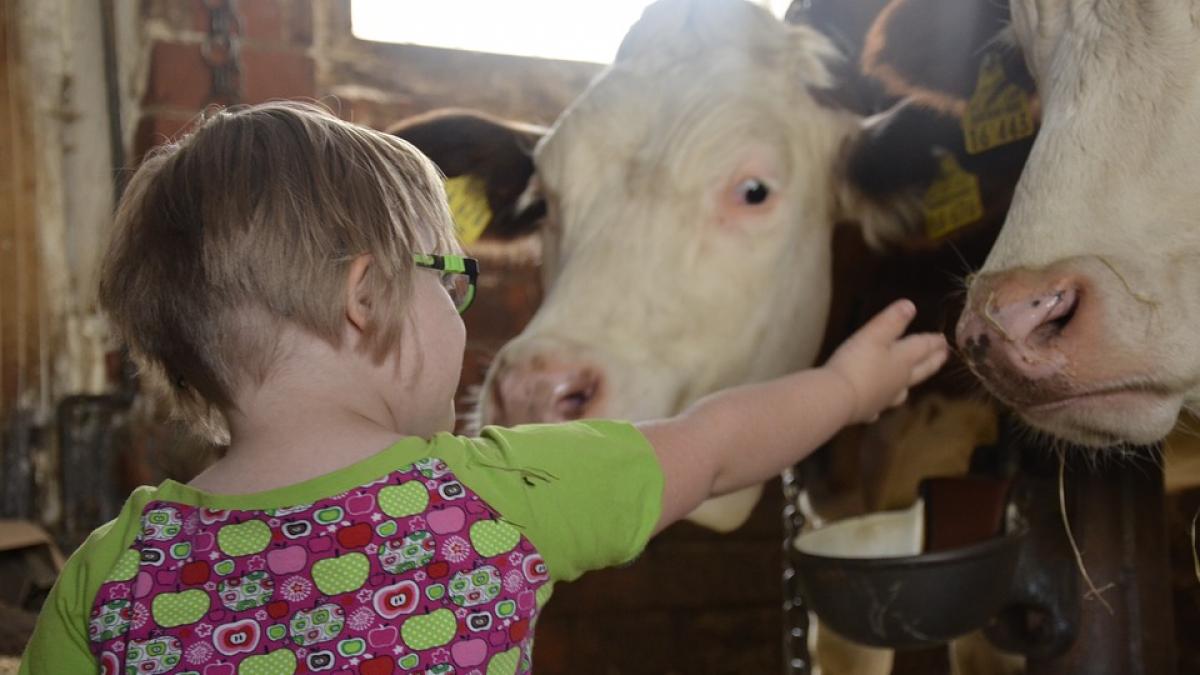 ziua mondiala a sindromului down 2017 ce este si cati oameni sunt afectati de sindromul down