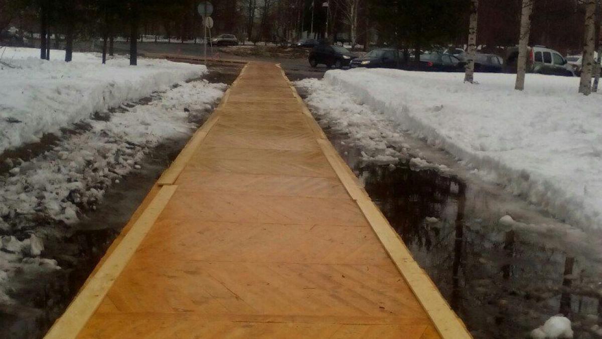 au pus parchet pe un trotuar in asteptarea lui vladimir putin foto