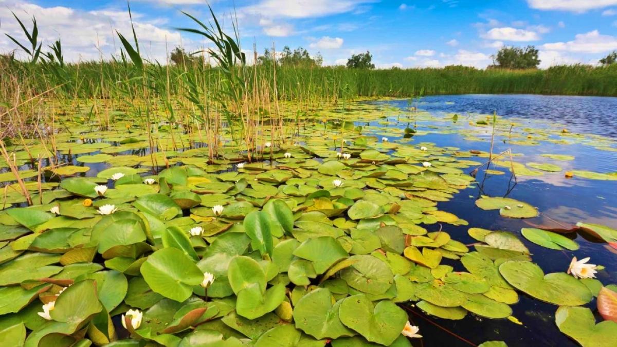 delta dunarii de la numai 299 lei de persoana