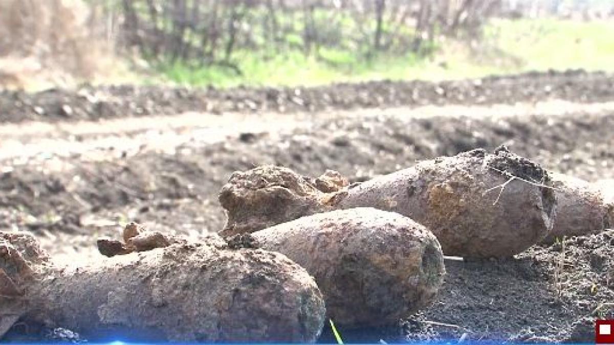 descoperire uluitoare pe un camp din mures satenii au alertat imediat politia