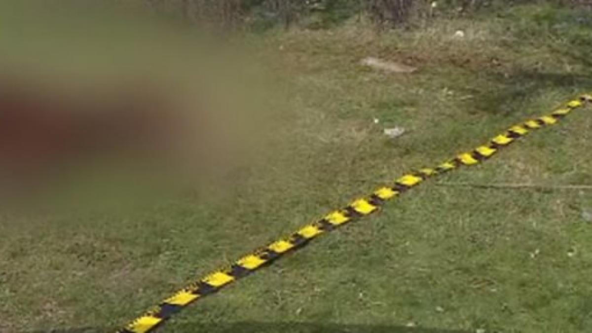 imagini de o cruzime fara margini au fost surprinse in apropiere de bucuresti o iapa gestanta a