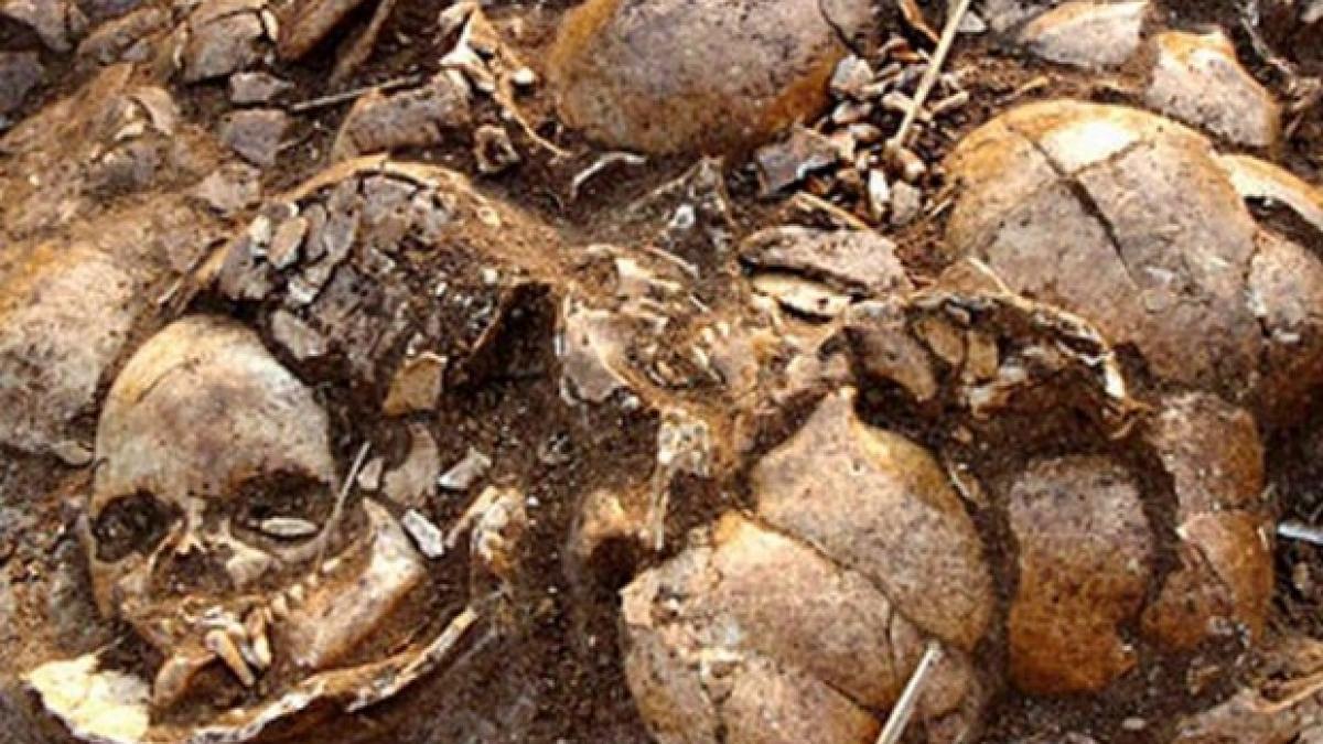 descoperire macabra la arad oase si cranii de copii si adulti gasite in timpul unor lucrari de