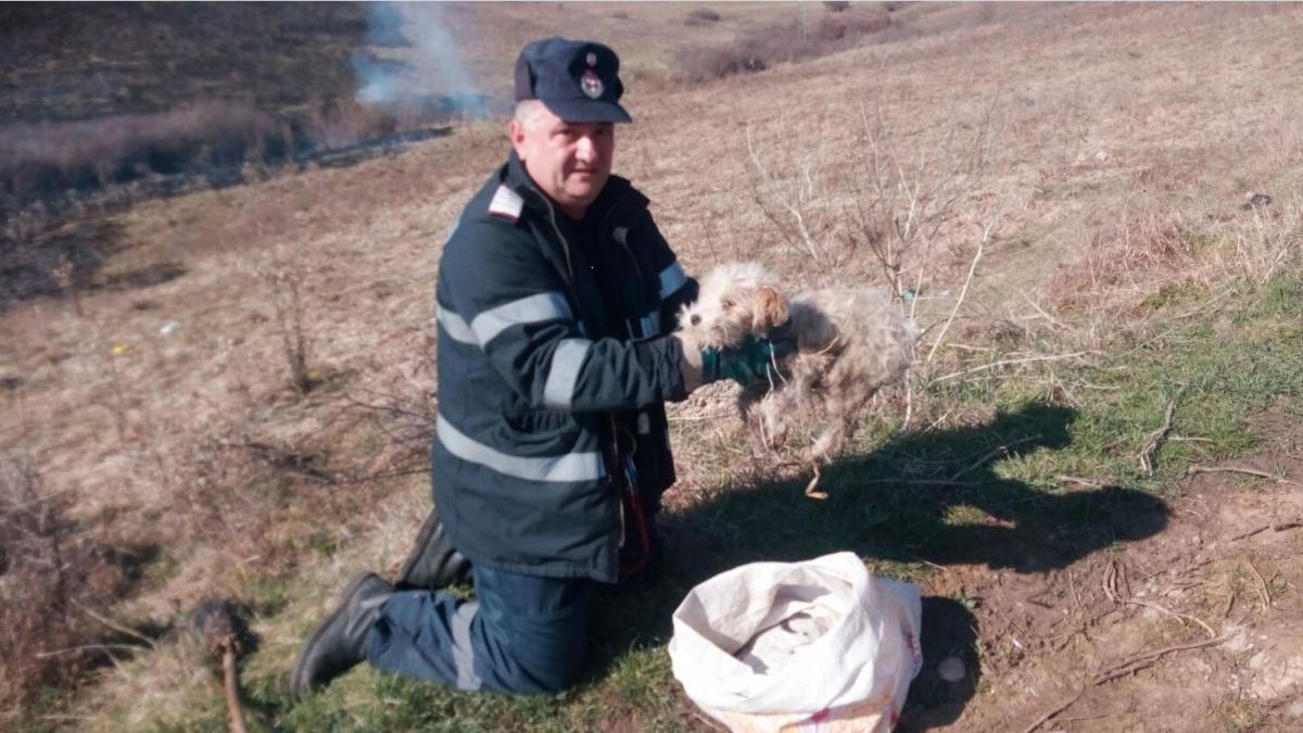 eroul zilei pompierul care a salvat un catel lasat sa moara