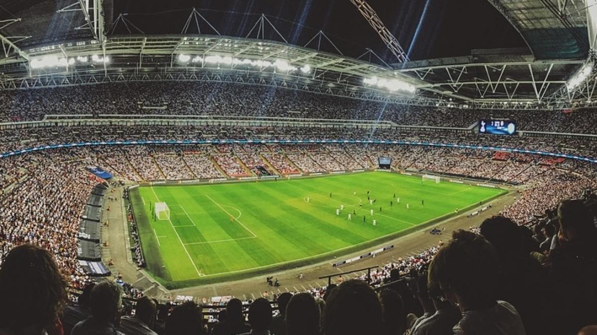 olandezii au ramas fara selectioner dupa esecul de la sofia