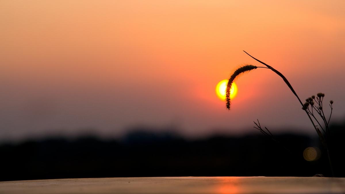 vremea prognoza meteo pana la florii in toata tara