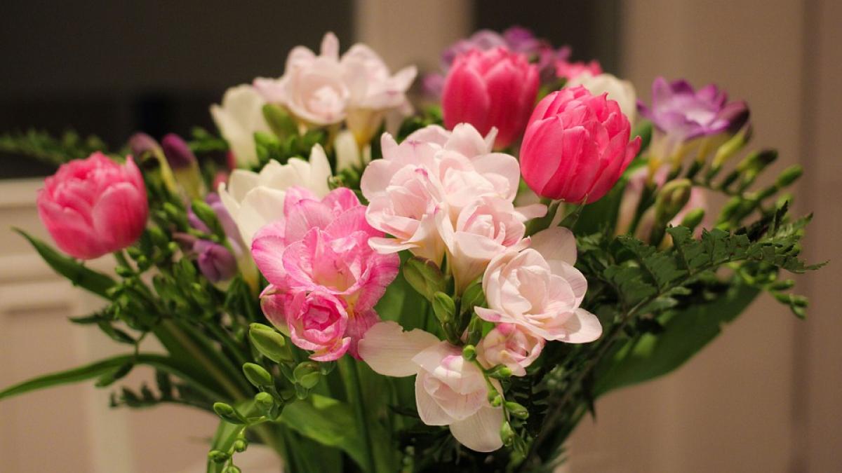 ce se intampla daca ai un buchet de frezii in casa