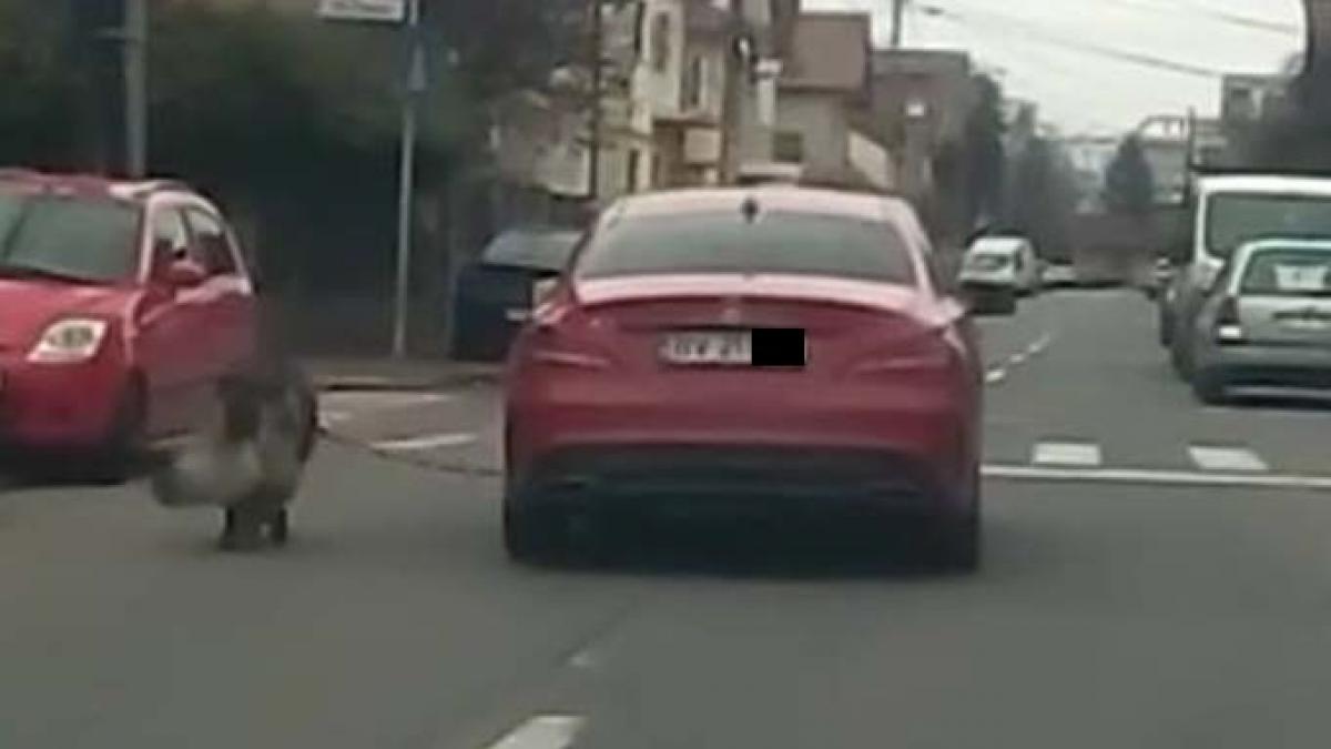 gest socant facut de o romanca si a legat cainele de masina si l a tras dupa ea