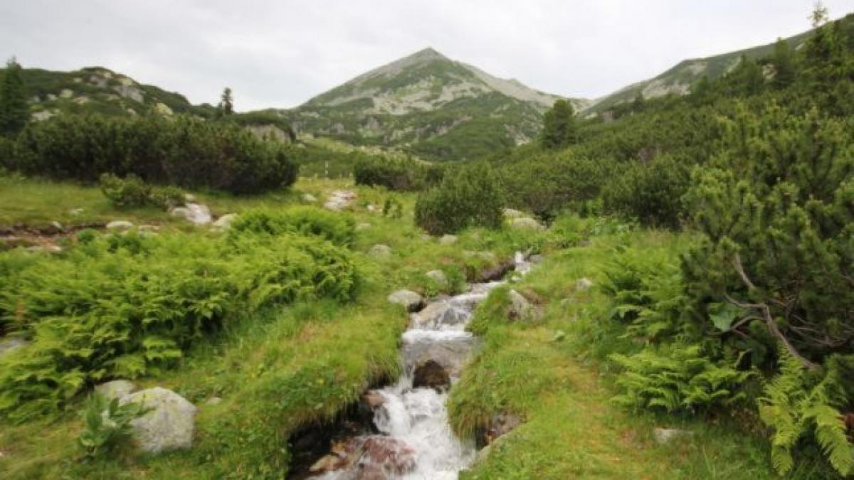 misterul piramidelor din retezat