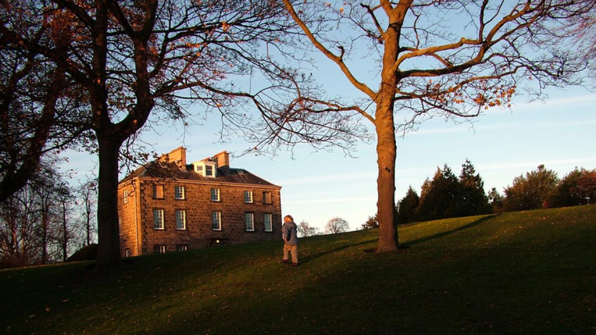 orasul din romania in care esti obligat sa plantezi copaci daca vrei sa construiesti cati pomi