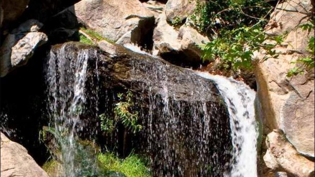 ai ochi de vultur silueta unei femei goale este ascunsa in peisaj tu ai gasit o