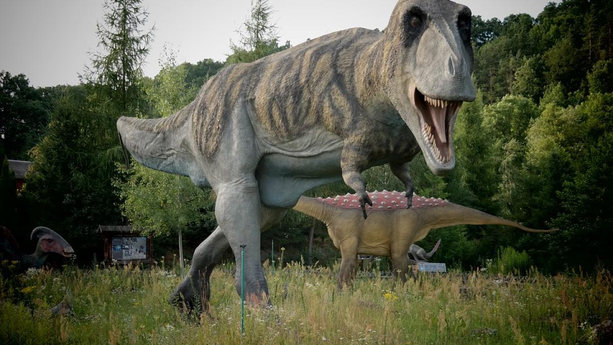 descoperire uluitoare a oamenilor de stiinta teoria care da peste cap tot ce stiam despre cel mai