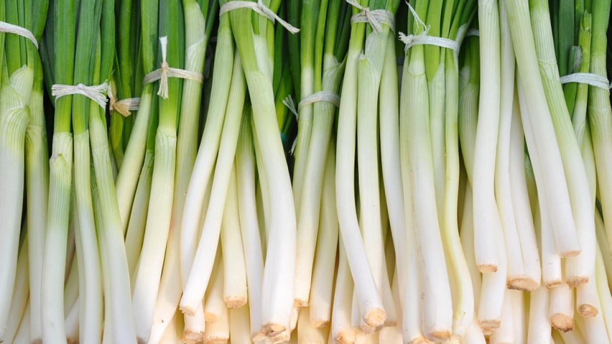 adevarul despre ceapa verde de pe tarabele din piete o vei mai cumpara