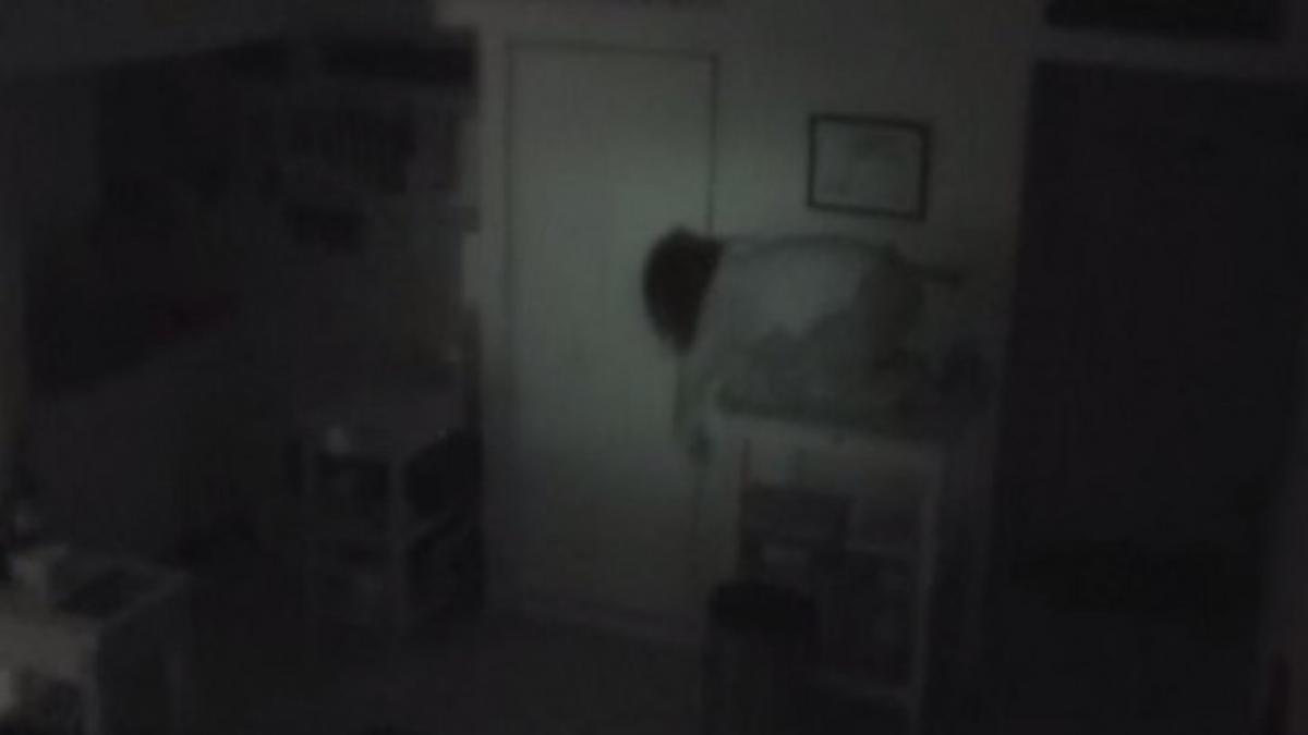 ii disparea mancarea din frigider peste noapte asa ca a montat o camera in bucatarie pentru a vedea