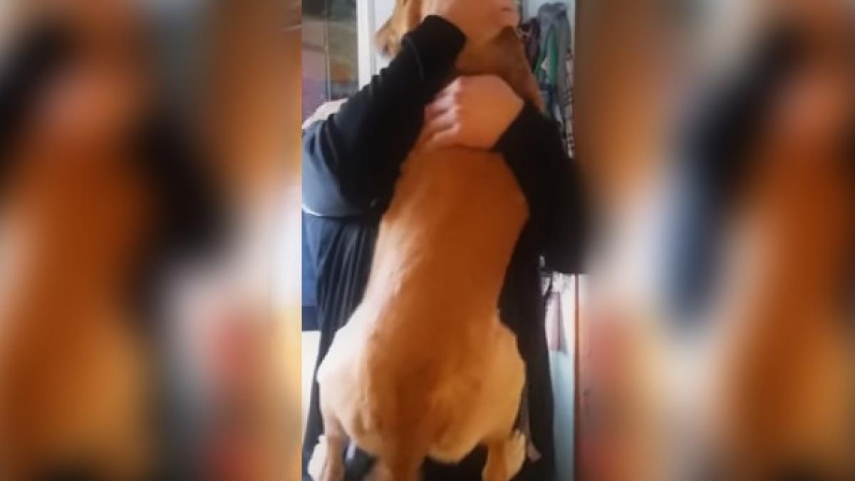 ea e sarah si isi revede stapanul dupa doua luni nu ai mai vazut o asa primire din partea unui