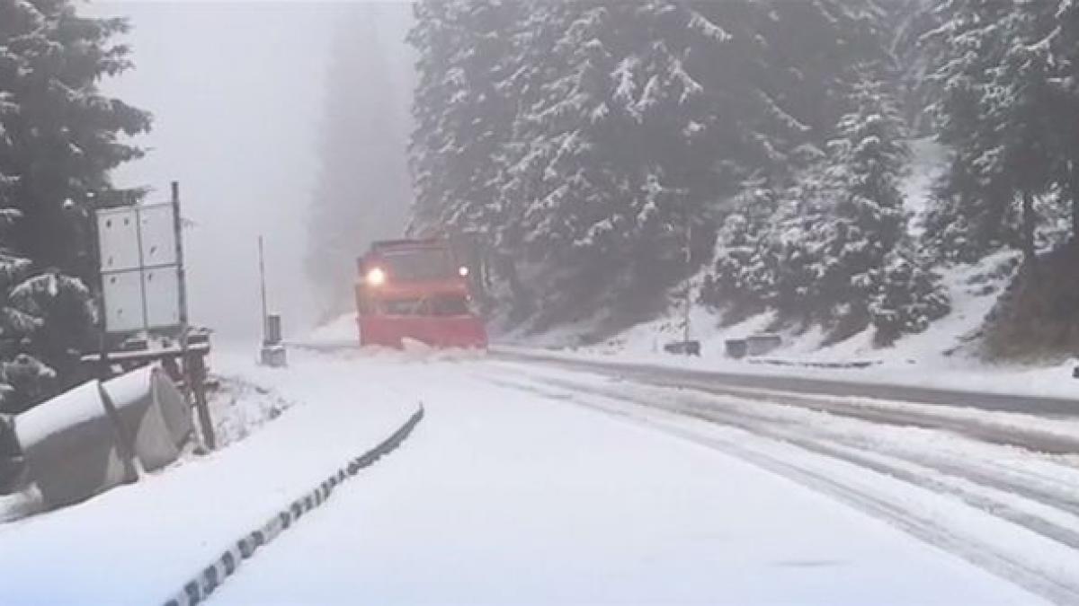 ninsori abundente la munte stratul de omat masoara 1 5 metri