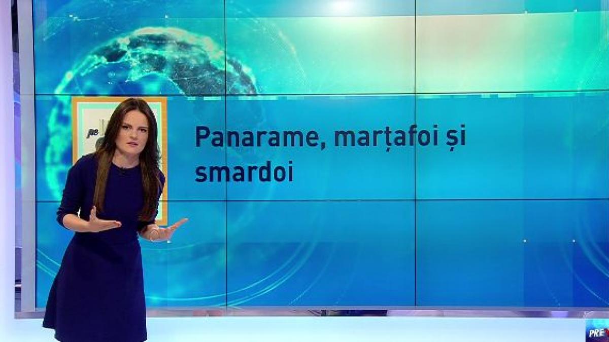 pe cuvant cu ana iorga sensul injuriilor panarama martafoi si smardoi