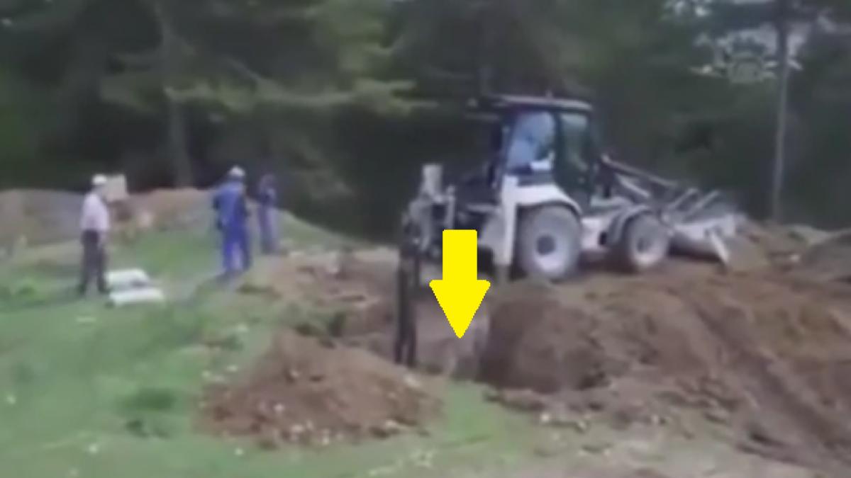 cativa muncitori sapau o groapa nu a durat mult si au luat o cu totii la fuga ingroziti peste ce au