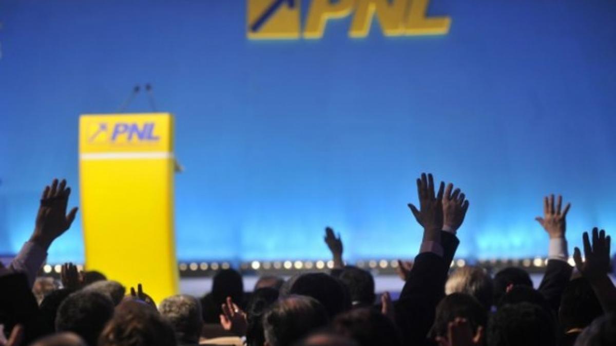 lider pnl propunere neasteptata vrea taierea ajutoarelor sociale si privatizarea spitalelor si