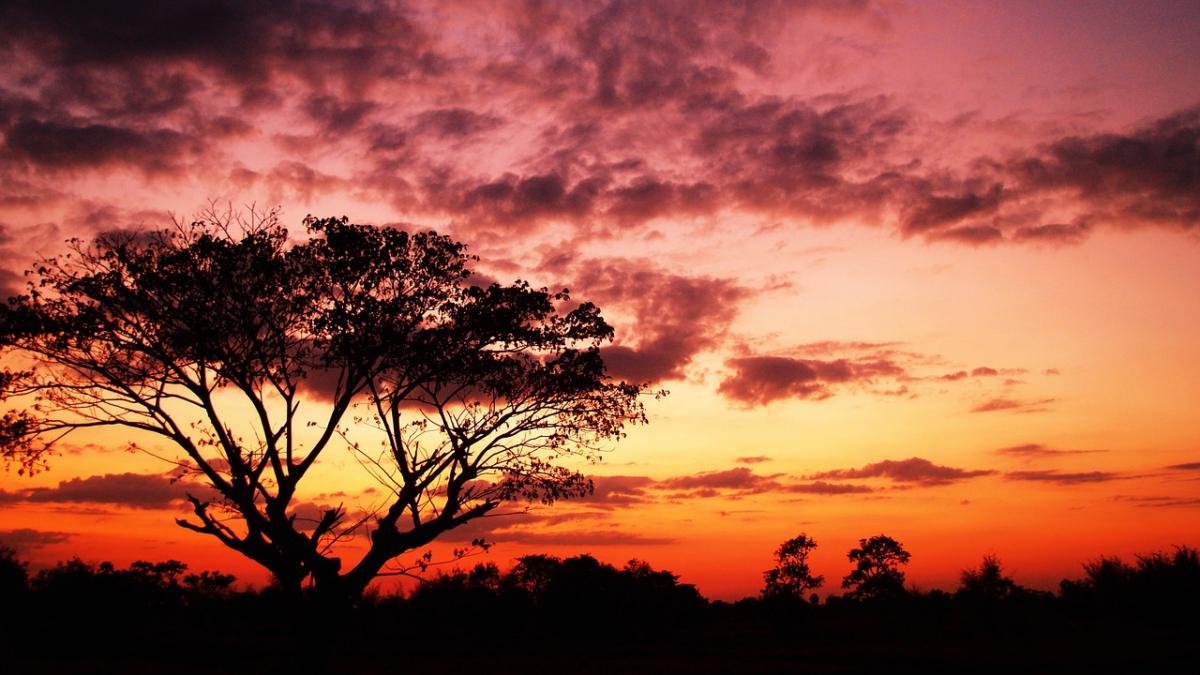 prognoza meteo pentru zilele urmatoare