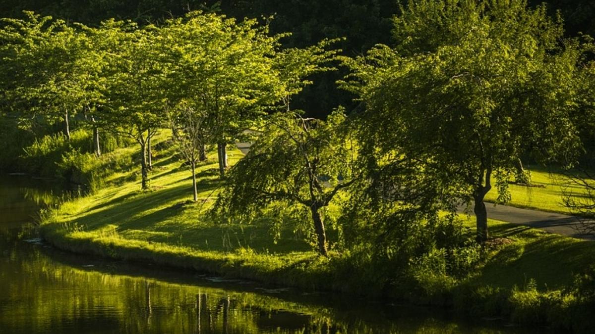 descoperire socanta intr un parc din capitala a fost gasita o punga cu carnati ce contineau de fapt