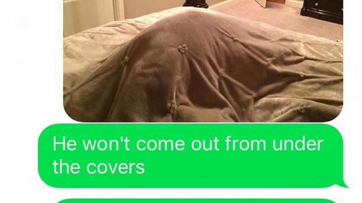 i a trimis un mesaj de ingrijorare despre copilul lor cum a reusit un barbat sa o faca pe sotia lui