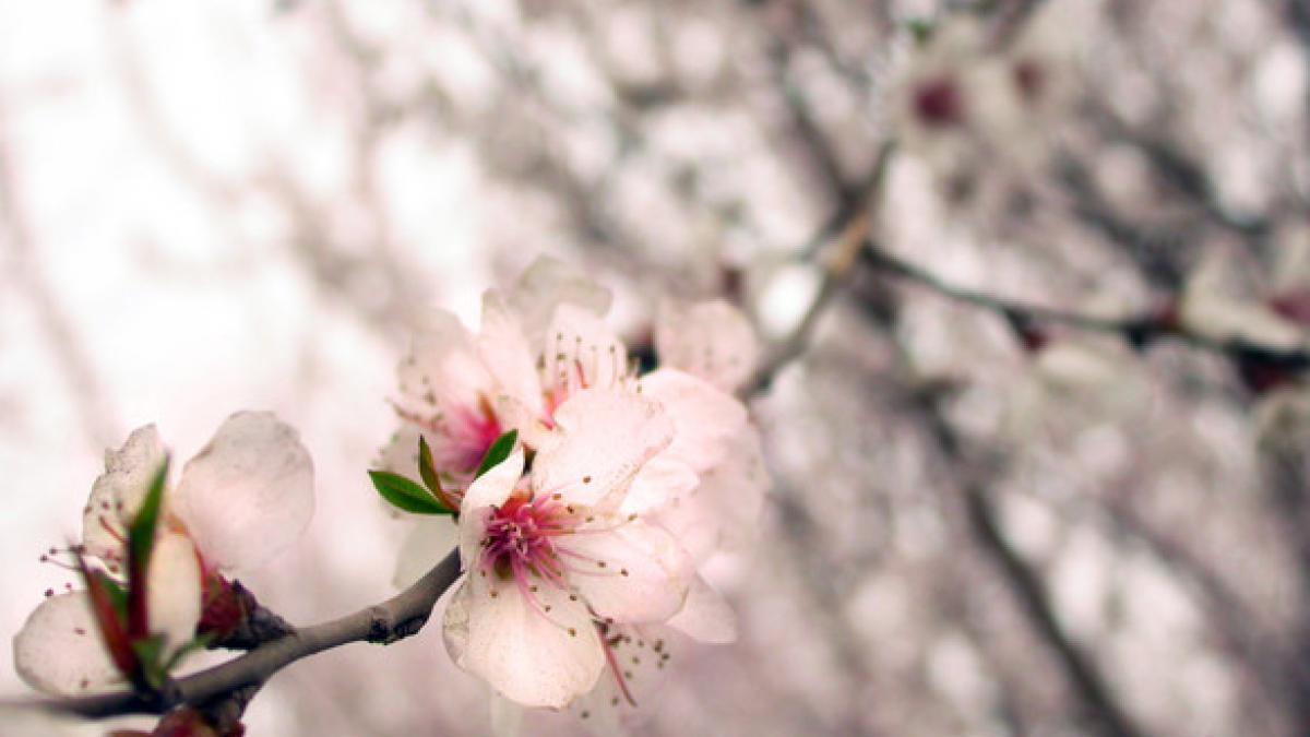 vremea va fi in general frumoasa prognoza meteo pentru miercuri si joi